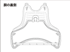 胴の裏側